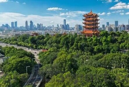九游会体育入口-九游会体育入口，走进数字化体育娱乐的新纪元
